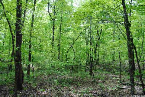 941 Almond Rd, Jerusalem, AR 72080 photo 6