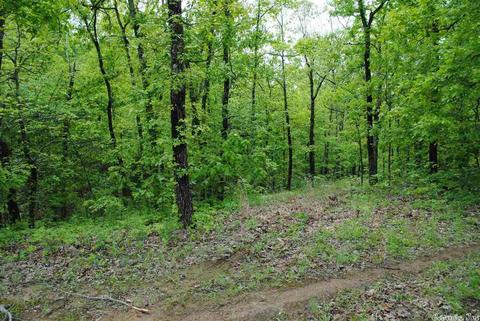 941 Almond Rd, Jerusalem, AR 72080 photo 27