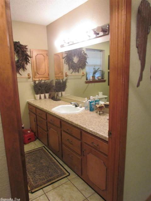 44 Triple D Ln, Mount Ida, AR 71957 photo 16