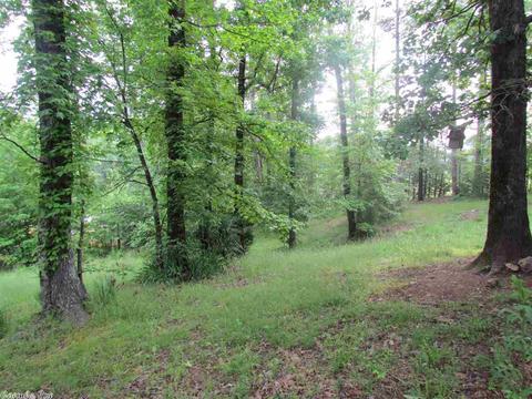 44 Triple D Ln, Mount Ida, AR 71957 photo 7
