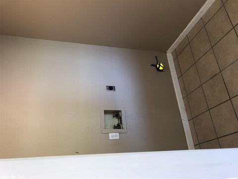 904 Whitlatch, Trumann, AR 72472 photo 4