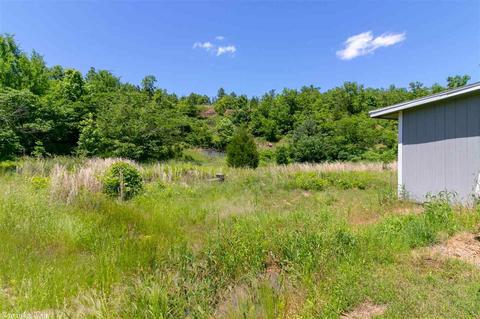 19 Grand Trunk Rd, Conway, AR 72032 photo 34