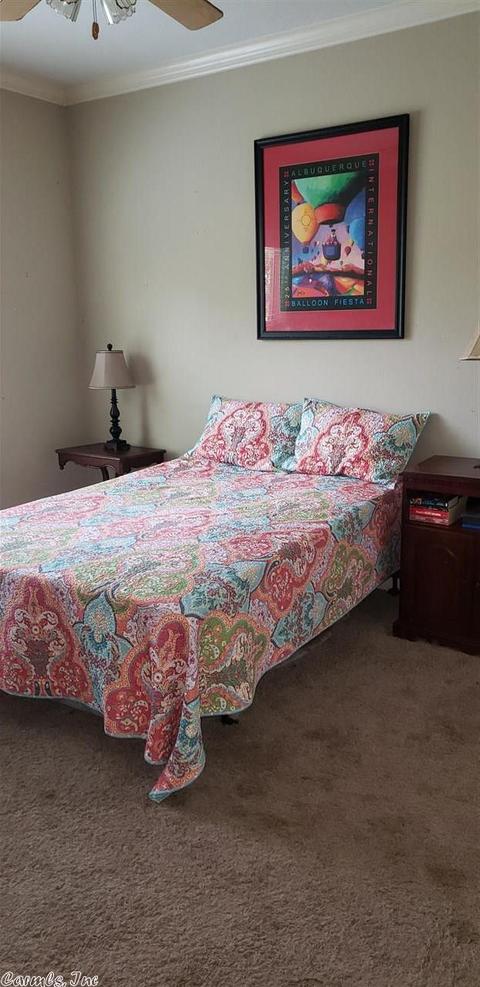 12 Berrypatch Cv, Cabot, AR 72023 photo 6