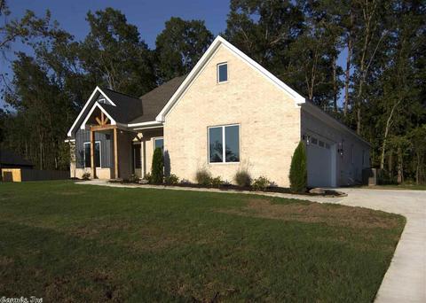 10073 Sanibel Loop, Alexander, AR 72002 photo 2