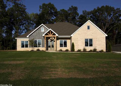10073 Sanibel Loop, Alexander, AR 72002 photo 1