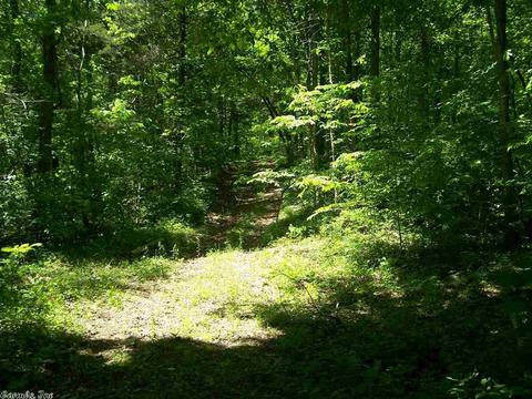 460 Thola Loop, Marshall, AR 72650 photo 5