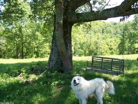 460 Thola Loop, Marshall, AR 72650 photo 7