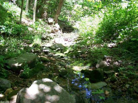 460 Thola Loop, Marshall, AR 72650 photo 26