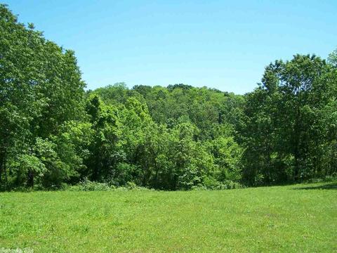 460 Thola Loop, Marshall, AR 72650 photo 27