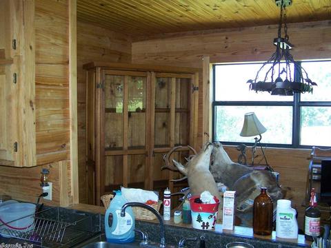 460 Thola Loop, Marshall, AR 72650 photo 13