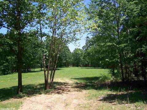 460 Thola Loop, Marshall, AR 72650 photo 25