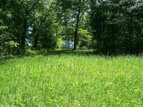 460 Thola Loop, Marshall, AR 72650 photo 34