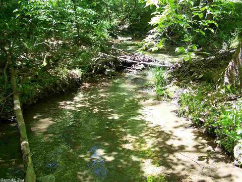 460 Thola Loop, Marshall, AR 72650 photo 8