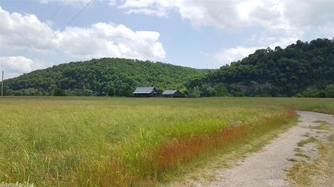 687 Williamson Switch, Guion, AR 72540 photo 34