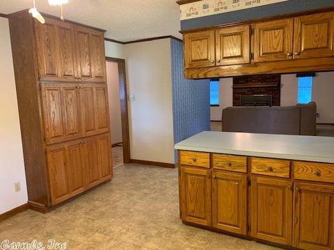 12 Pintail Dr, Conway, AR 72032 photo 12