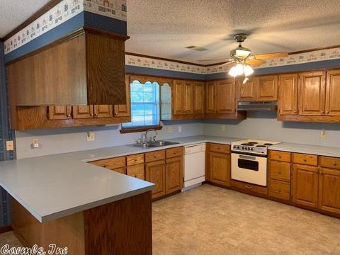 12 Pintail Dr, Conway, AR 72032 photo 13