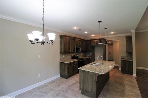 329 Reuben Dr, Alexander, AR 72002 photo 8