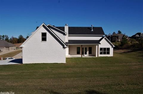 6017 Lodestone Dr, Alexander, AR 72002 photo 34
