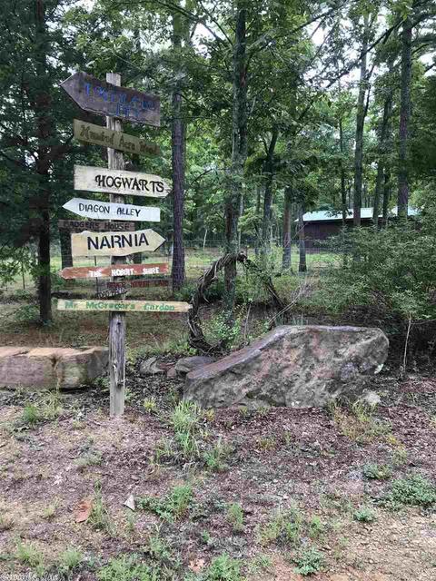2604 Sylvan Ln, Clinton, AR 72031 photo 29