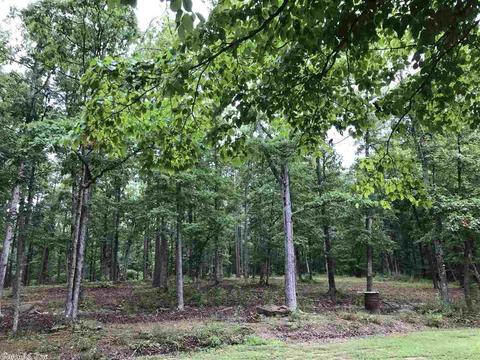 2604 Sylvan Ln, Clinton, AR 72031 photo 35