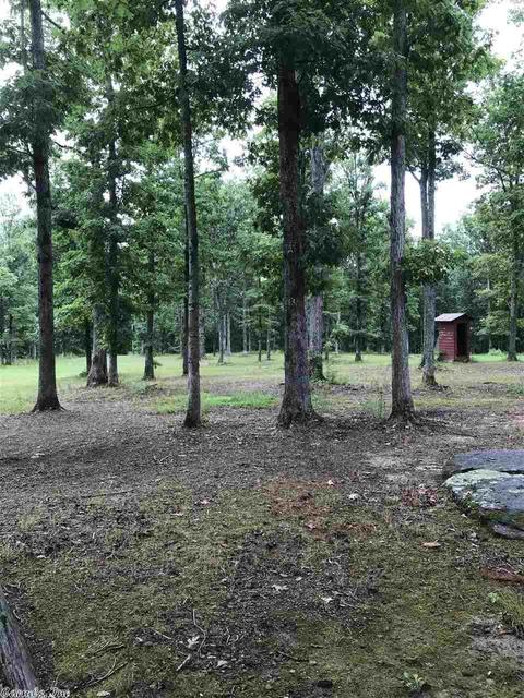 2604 Sylvan Ln, Clinton, AR 72031 photo 36