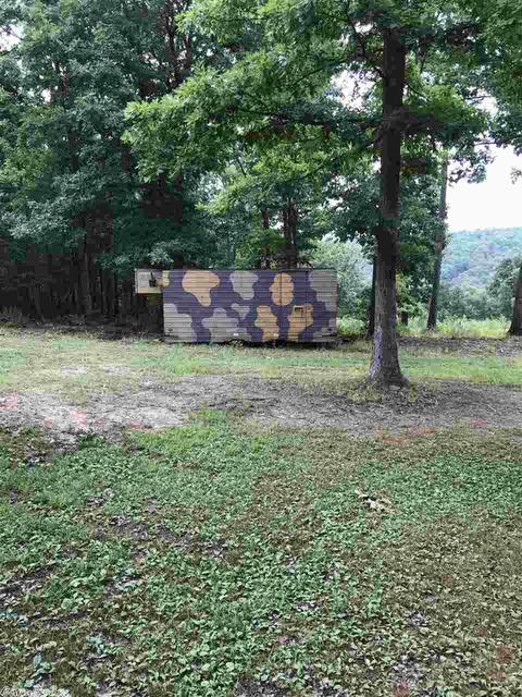 2604 Sylvan Ln, Clinton, AR 72031 photo 31
