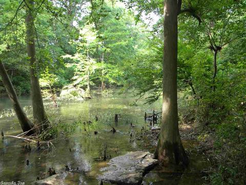 38 Old River Rd, Pangburn, AR 72121 photo 38