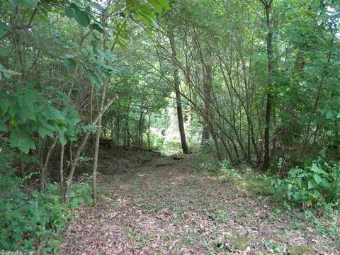 38 Old River Rd, Pangburn, AR 72121 photo 5