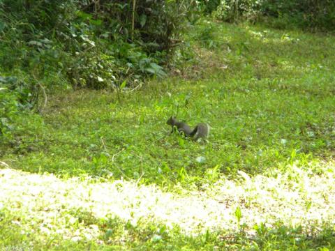 38 Old River Rd, Pangburn, AR 72121 photo 36