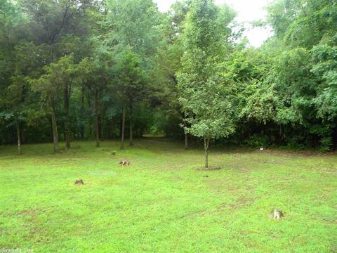 38 Old River Rd, Pangburn, AR 72121 photo 34