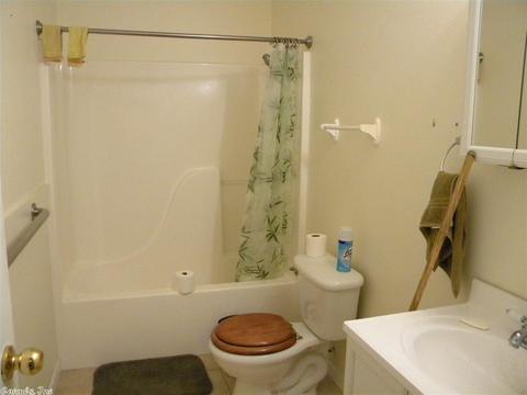 38 Old River Rd, Pangburn, AR 72121 photo 23