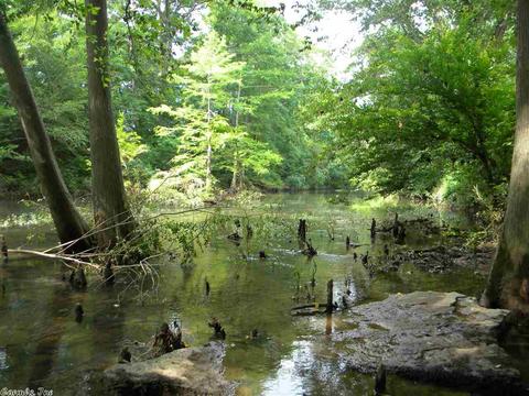 38 Old River Rd, Pangburn, AR 72121 photo 37