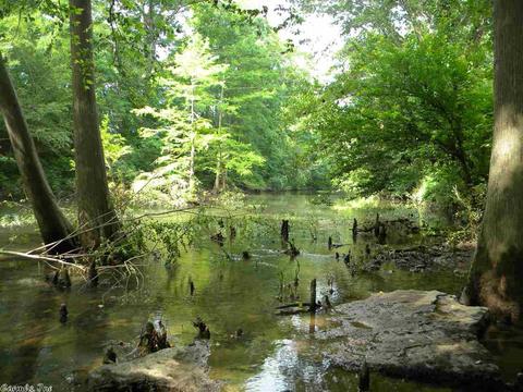 38 Old River Rd, Pangburn, AR 72121 photo 6