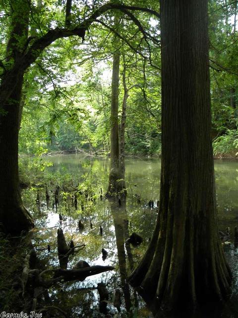 38 Old River Rd, Pangburn, AR 72121 photo 27