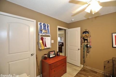 2301 Lori Ln, Alexander, AR 72002 photo 34