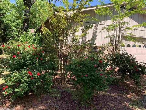 19 Hickory Hill Rd, Conway, AR 72032 photo 4