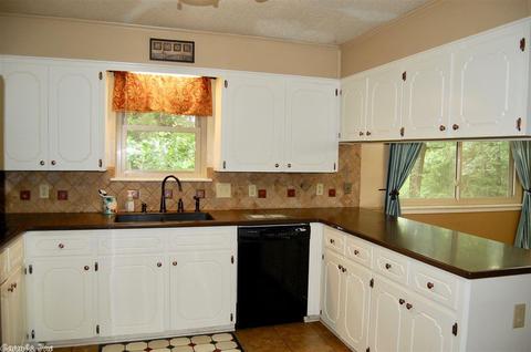 19 Hickory Hill Rd, Conway, AR 72032 photo 6