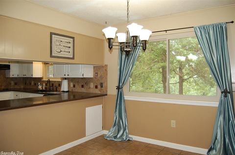19 Hickory Hill Rd, Conway, AR 72032 photo 9