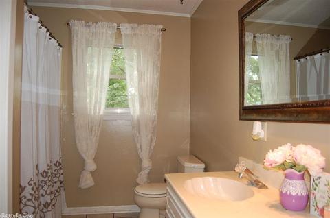 19 Hickory Hill Rd, Conway, AR 72032 photo 29