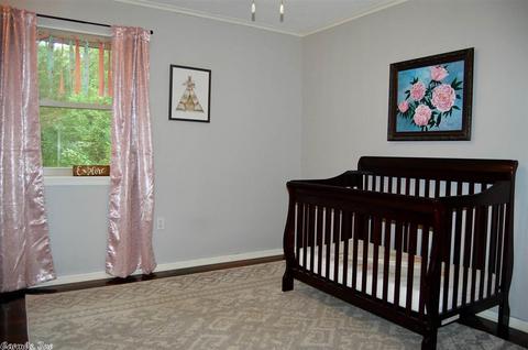 19 Hickory Hill Rd, Conway, AR 72032 photo 25