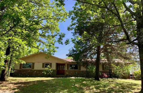 19 Hickory Hill Rd, Conway, AR 72032 photo 1