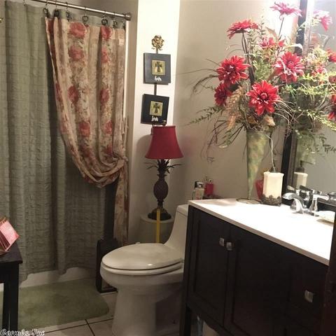 2 Bell Foley Ln, Poughkeepsie, AR 72529 photo 6