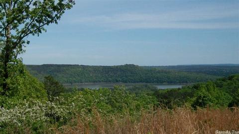 425 White Rock Rd, Edgemont, AR 72044 photo 3