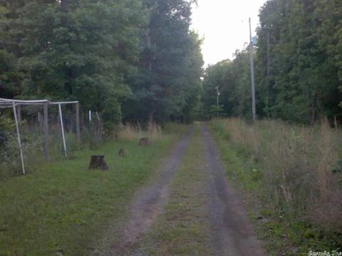 425 White Rock Rd, Edgemont, AR 72044 photo 6