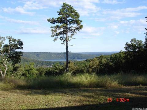 425 White Rock Rd, Edgemont, AR 72044 photo 10