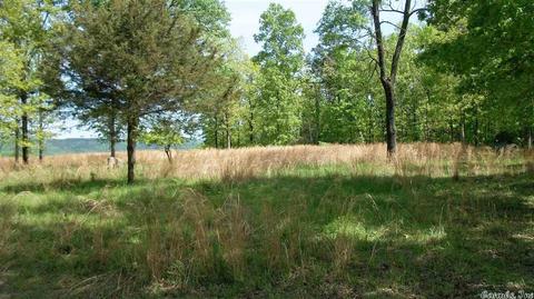 425 White Rock Rd, Edgemont, AR 72044 photo 1