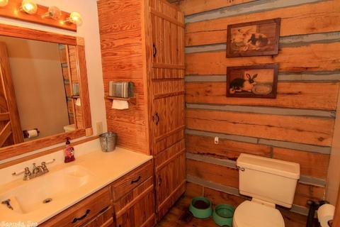 235 Backbone Rd, Evening Shade, AR 72532 photo 21