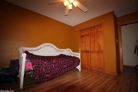 378 Bucky Bldv, Clinton, AR 72031 photo 18