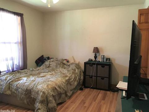378 Bucky Bldv, Clinton, AR 72031 photo 28