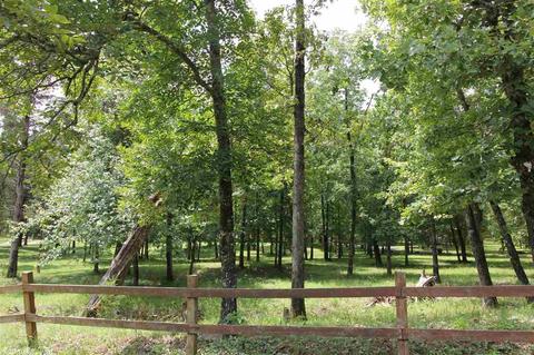 378 Bucky Bldv, Clinton, AR 72031 photo 6